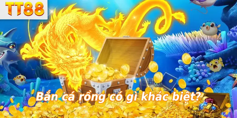 Bắn cá rồng có gì khác biệt?